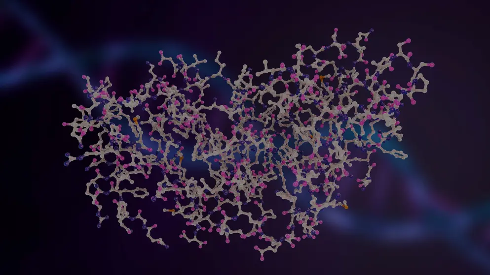 Molecular model of interferon-gamma, 3D illustration
