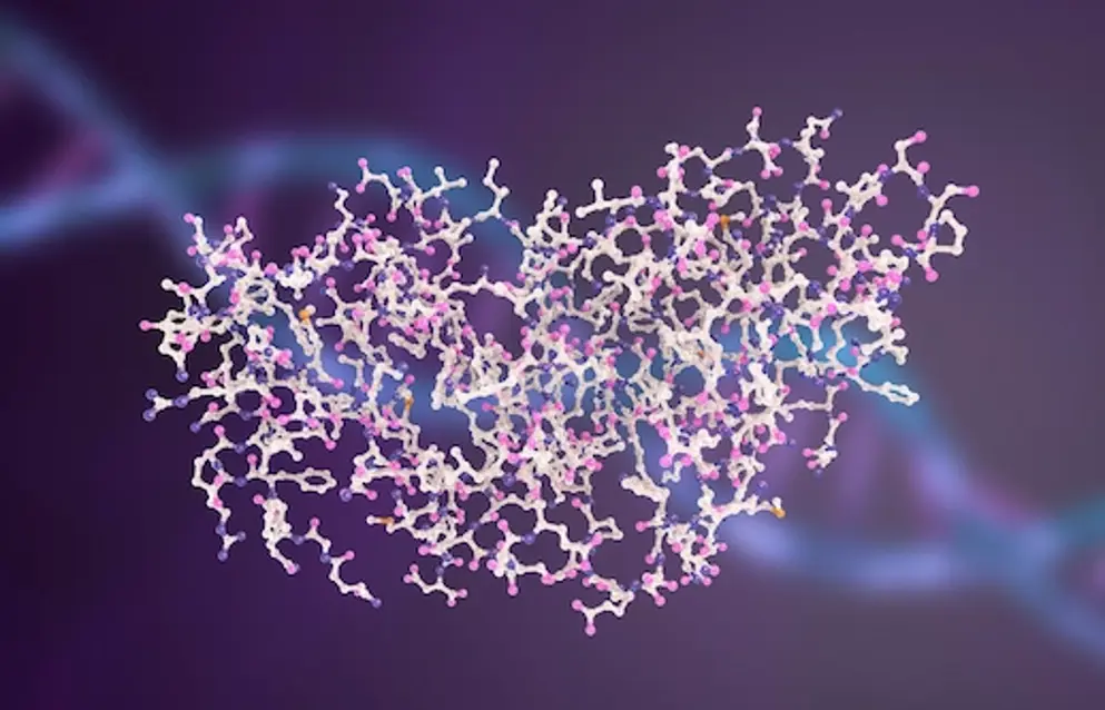 Molecular model of interferon-gamma, 3D illustration